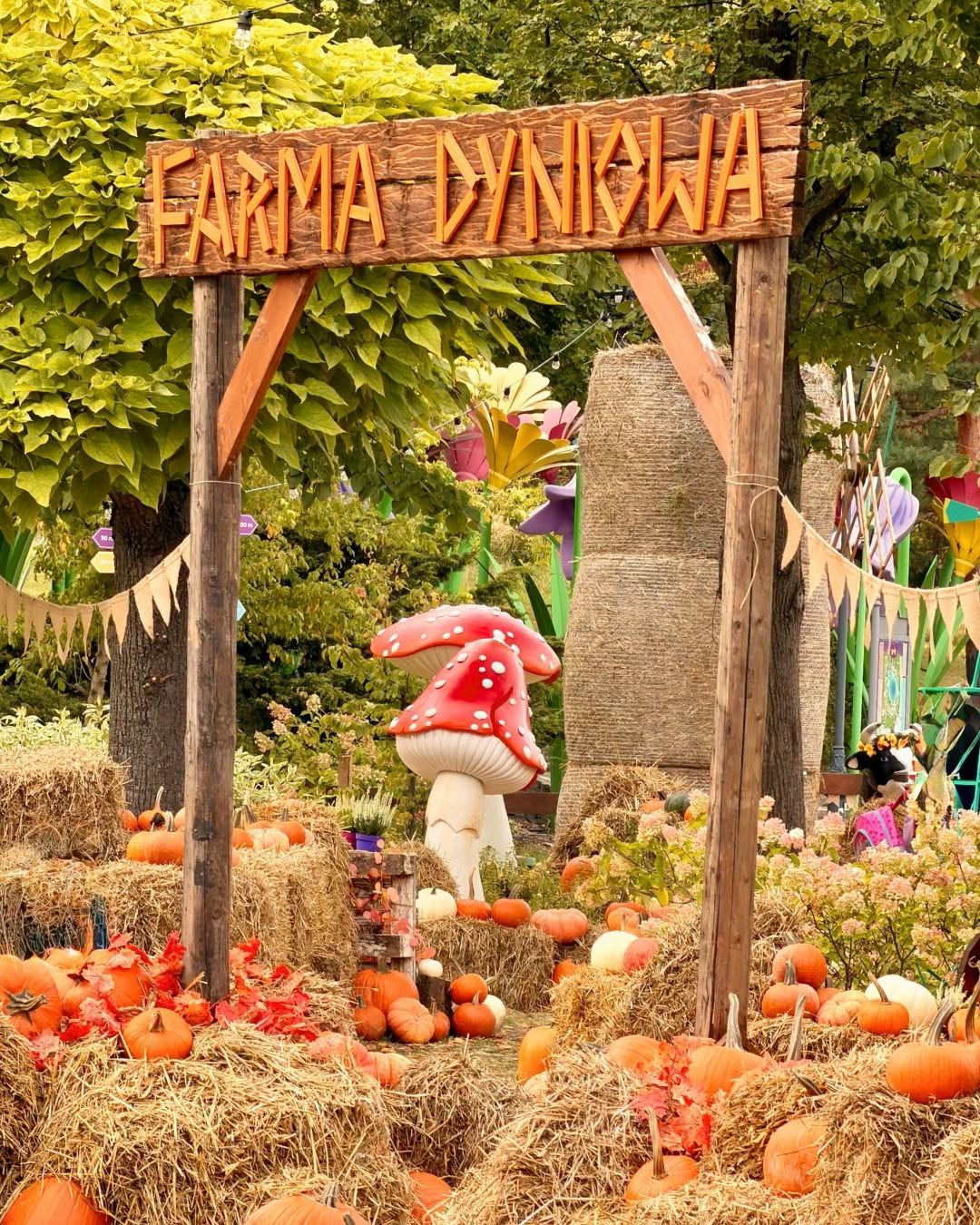 Farma Dyniowa w Legendii