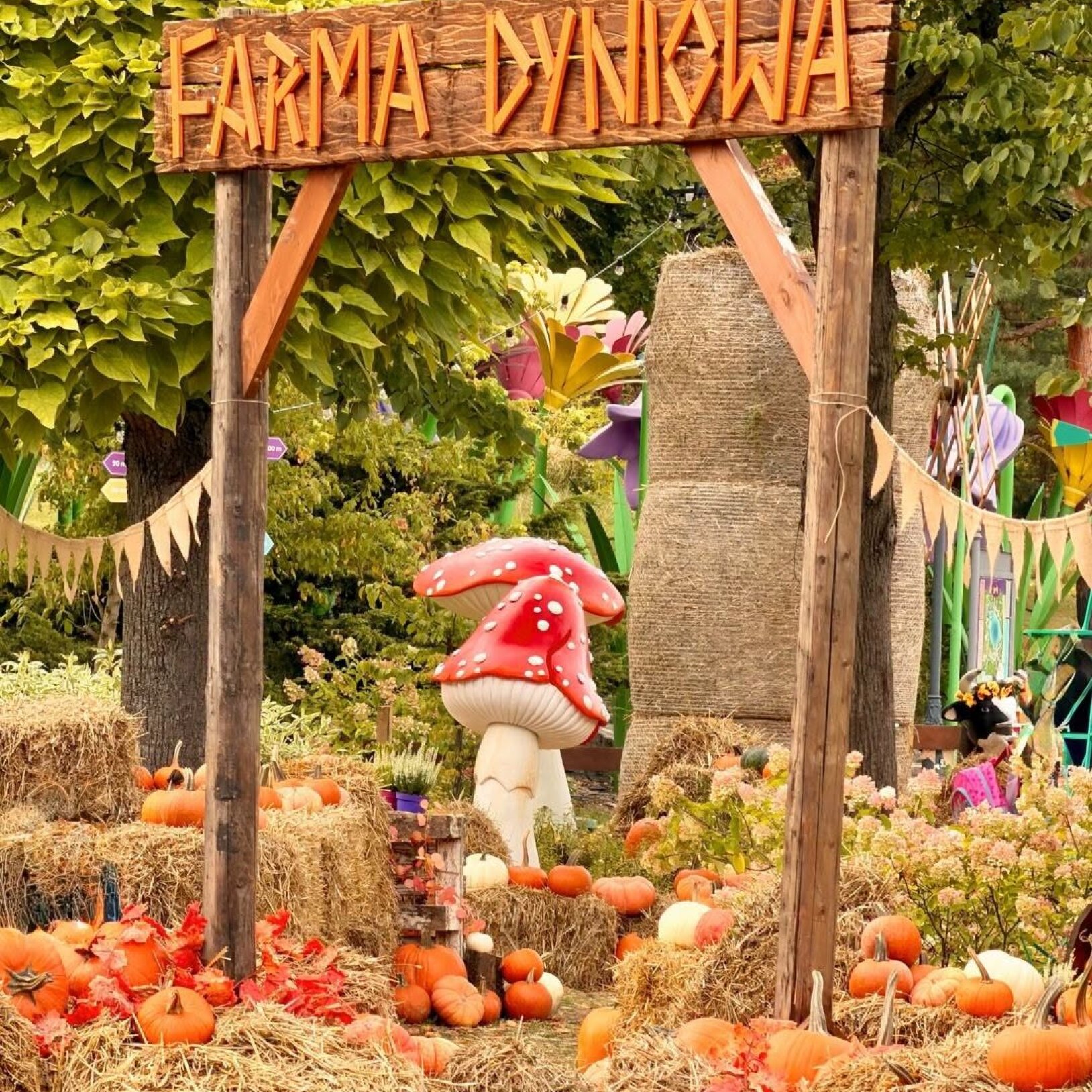 Farma Dyniowa w Legendii