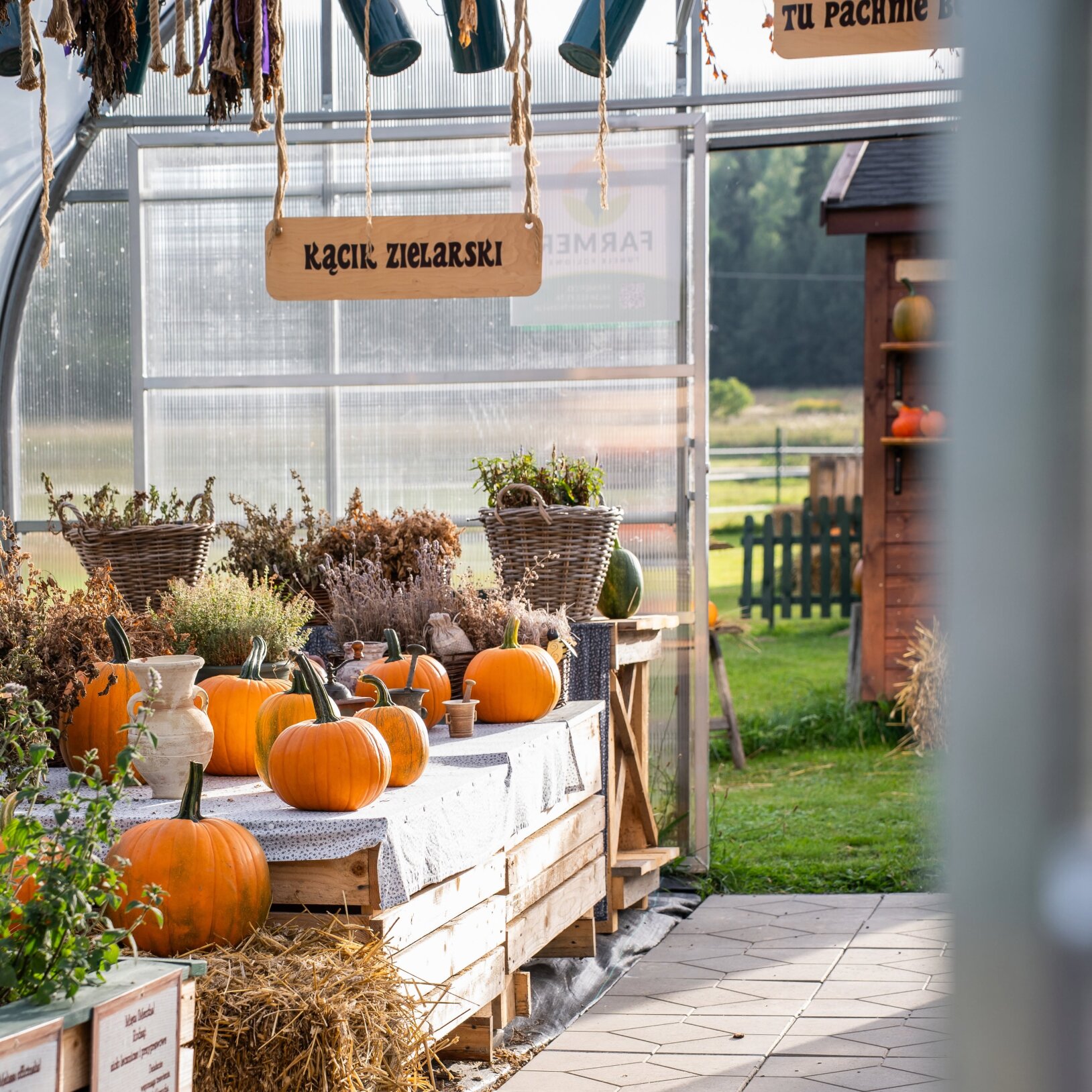 Agroturystyka u Gazdy Wisła Farma Dyniowa