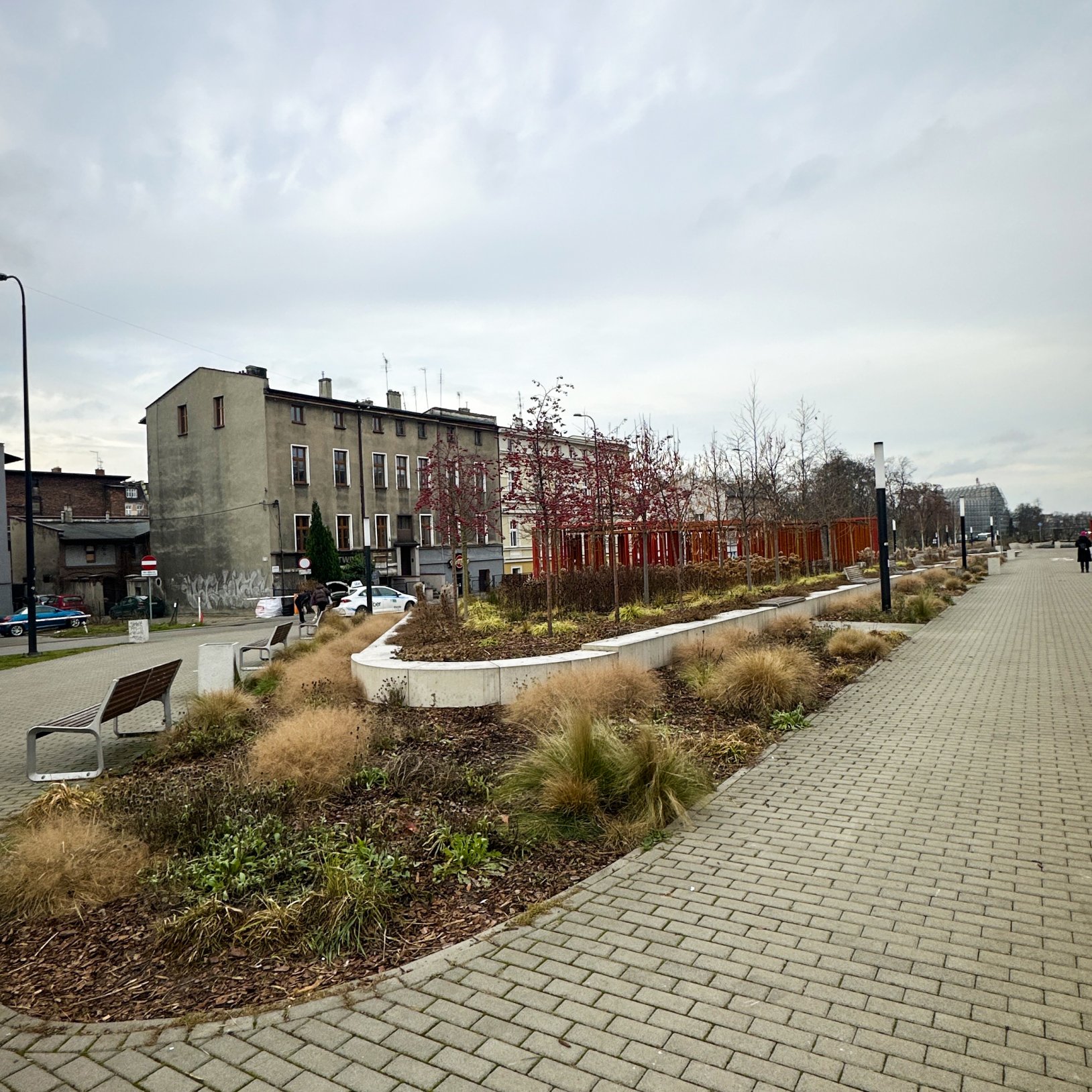"Fragment miejskiego skweru z brukowaną ścieżką pieszo-rowerową po prawej stronie i ozdobnymi nasadzeniami po lewej. W nasadzeniach znajdują się suche trawy, niskie krzewy i młode drzewka z czerwonymi owocami. W tle widoczne są stare kamienice i przechodn