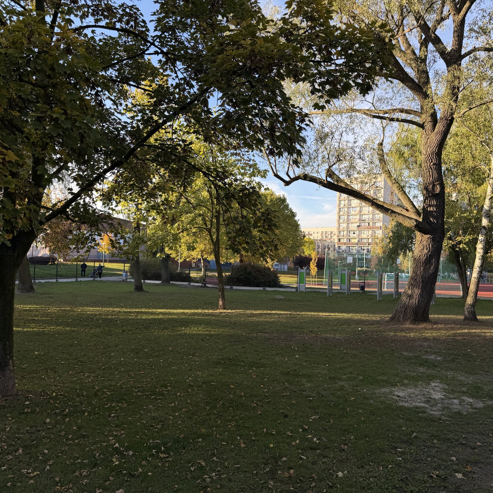 Psi wybieg przy Hali Sportowej Hajduki