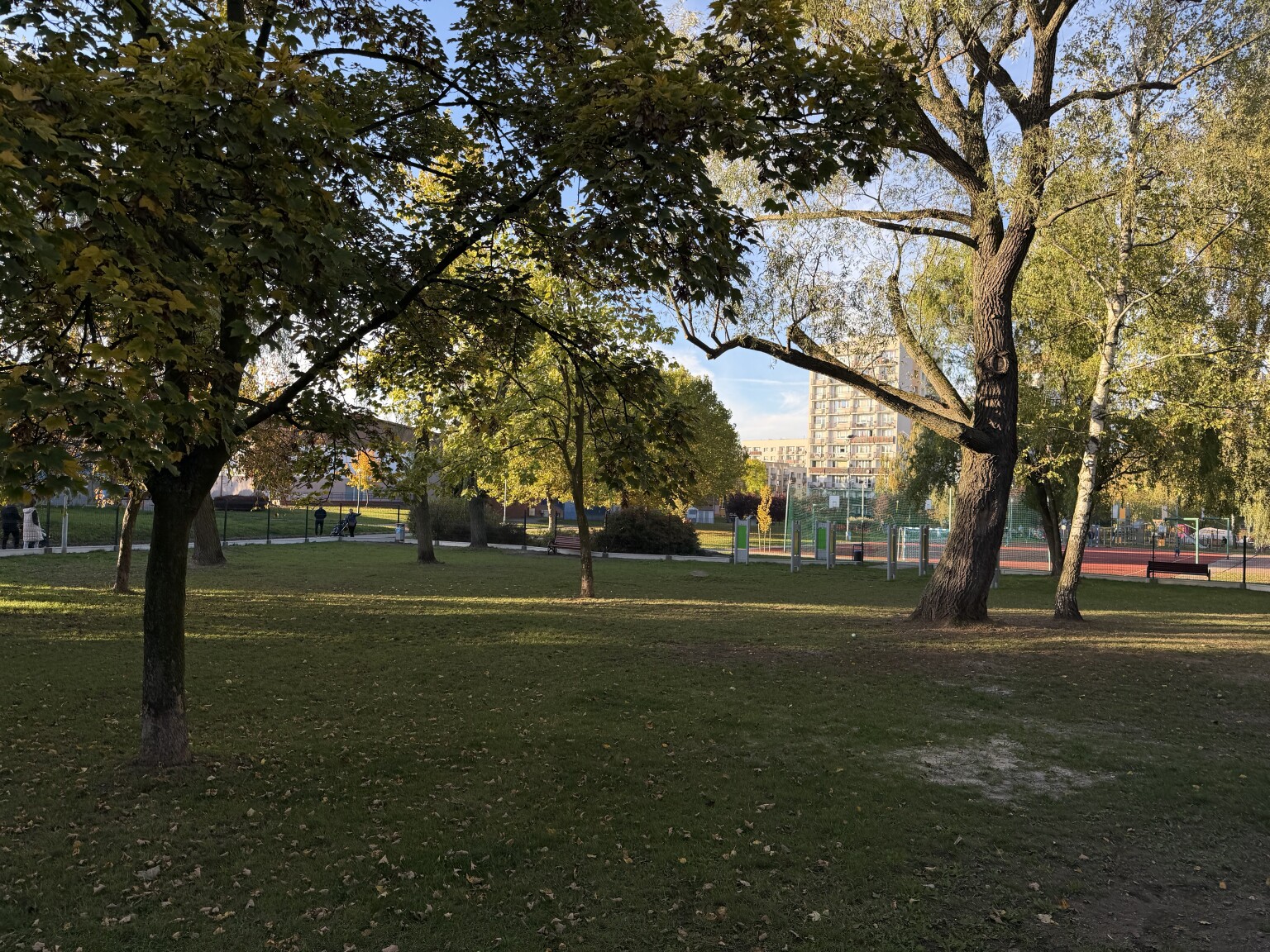 Psi wybieg przy Hali Sportowej Hajduki