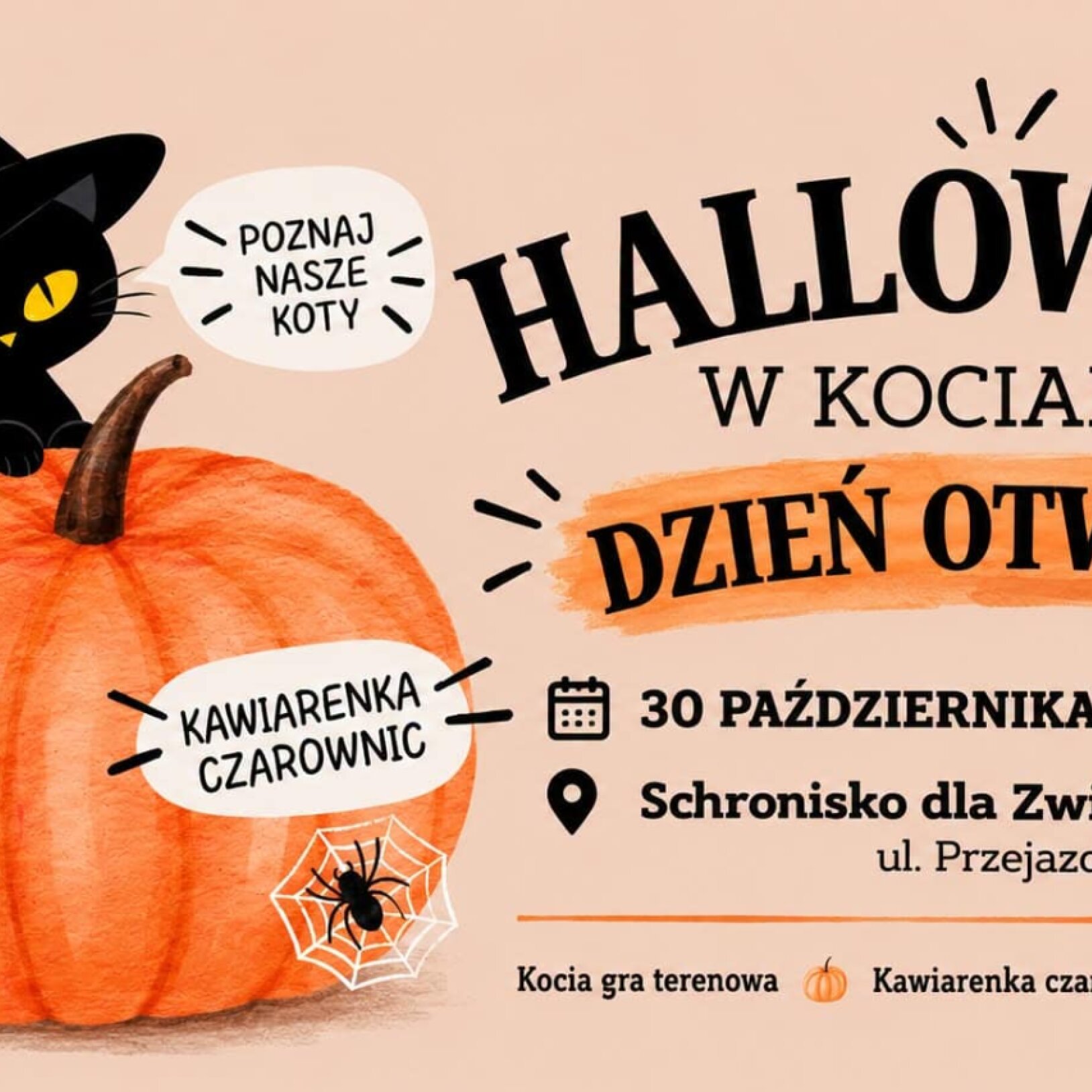 Adopcja albo psikus!. Halloween w kociarni tyskiego schroniska