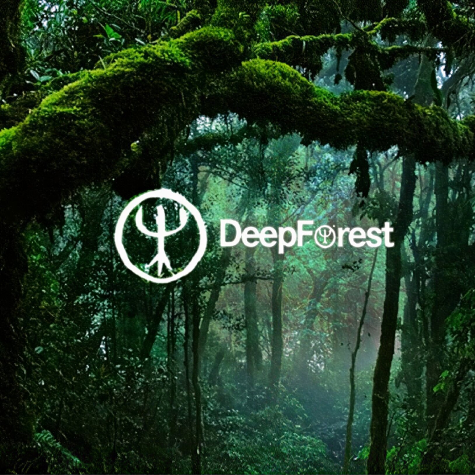 Deep Forest – Live Machine Solo