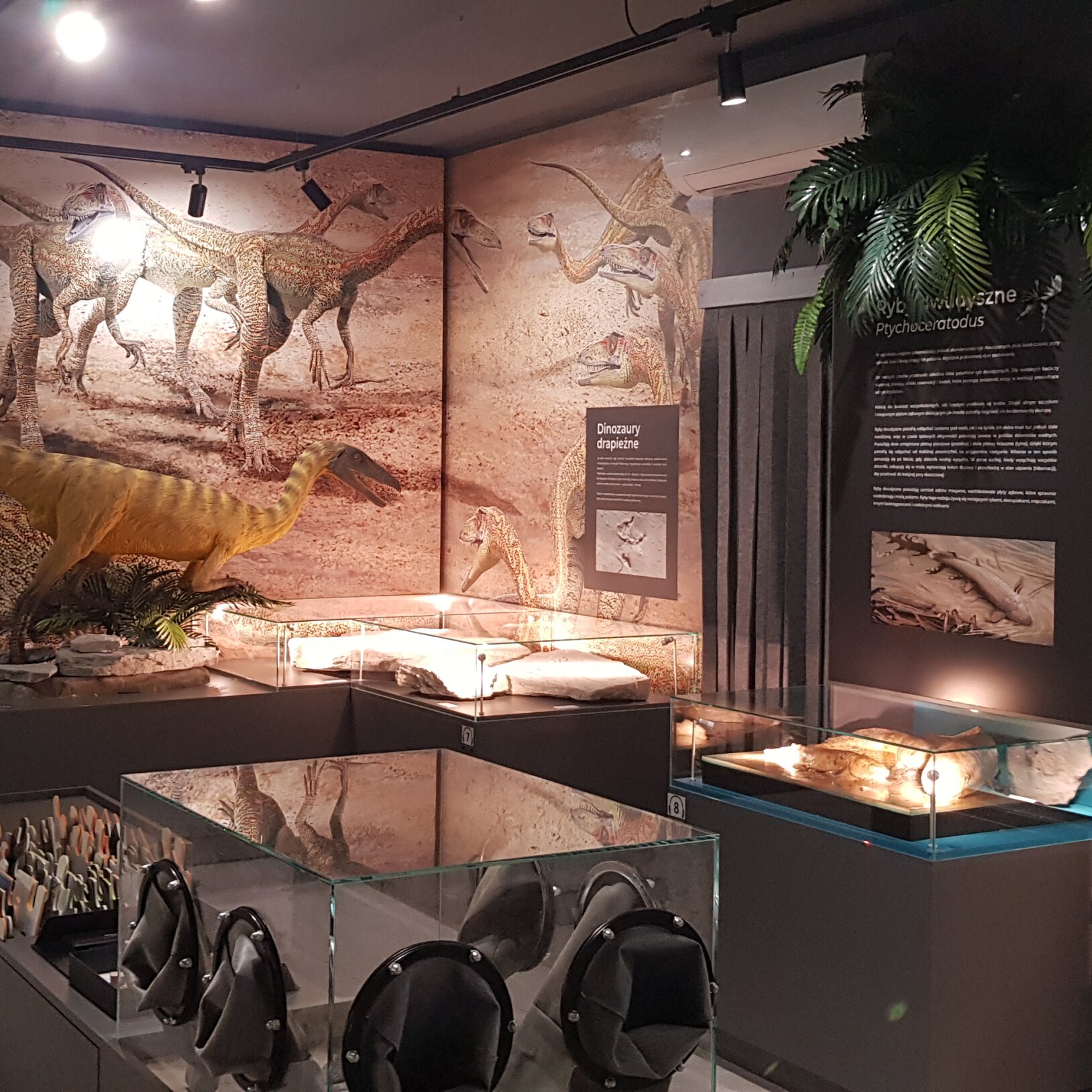 Muzeum Paleontologiczne w Lisowicach