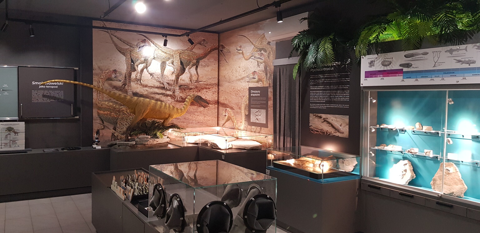 Muzeum Paleontologiczne w Lisowicach