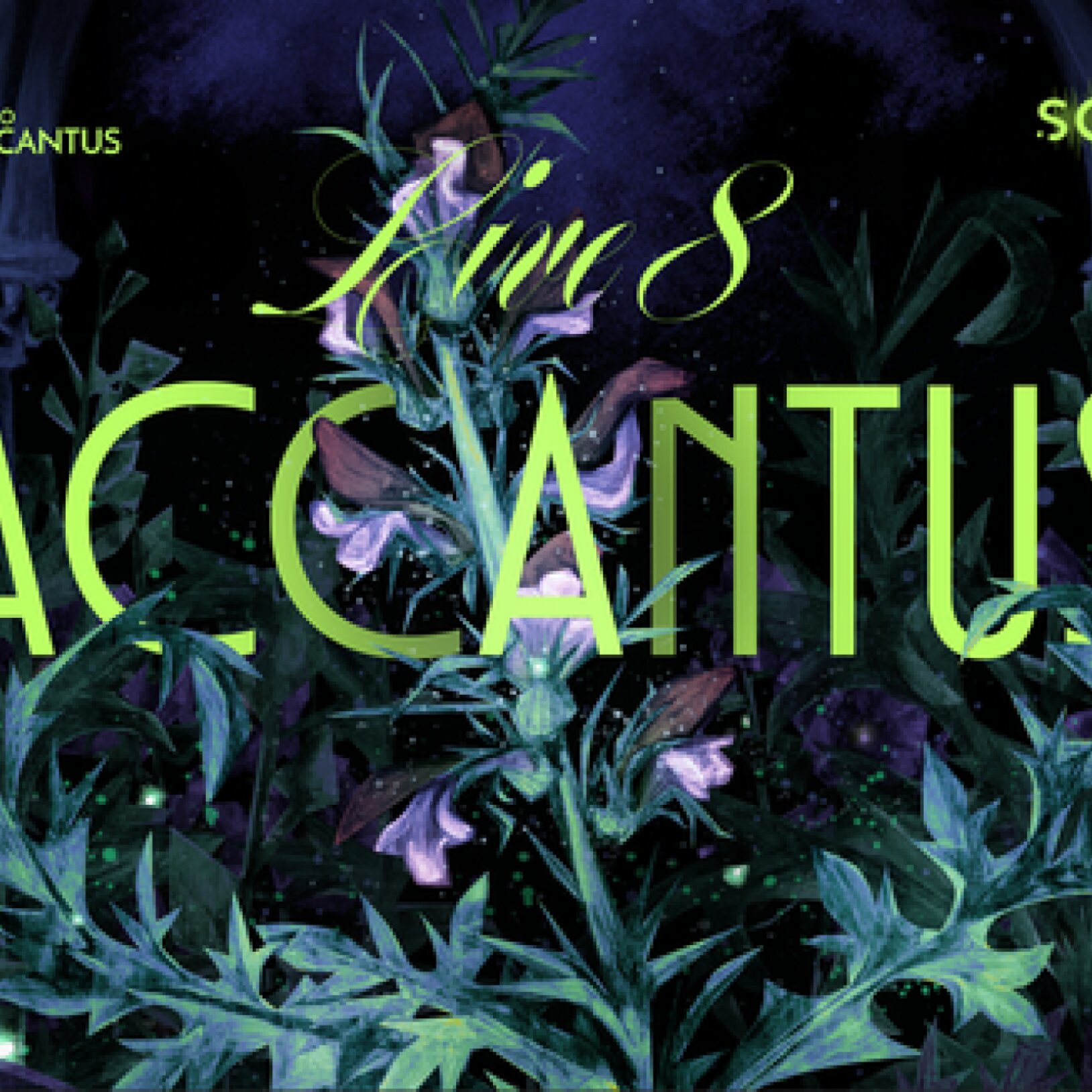 Accantus Live 8