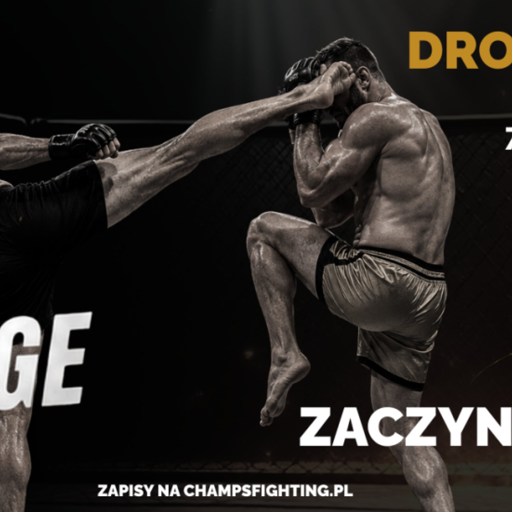 Champs Fighting Challenge