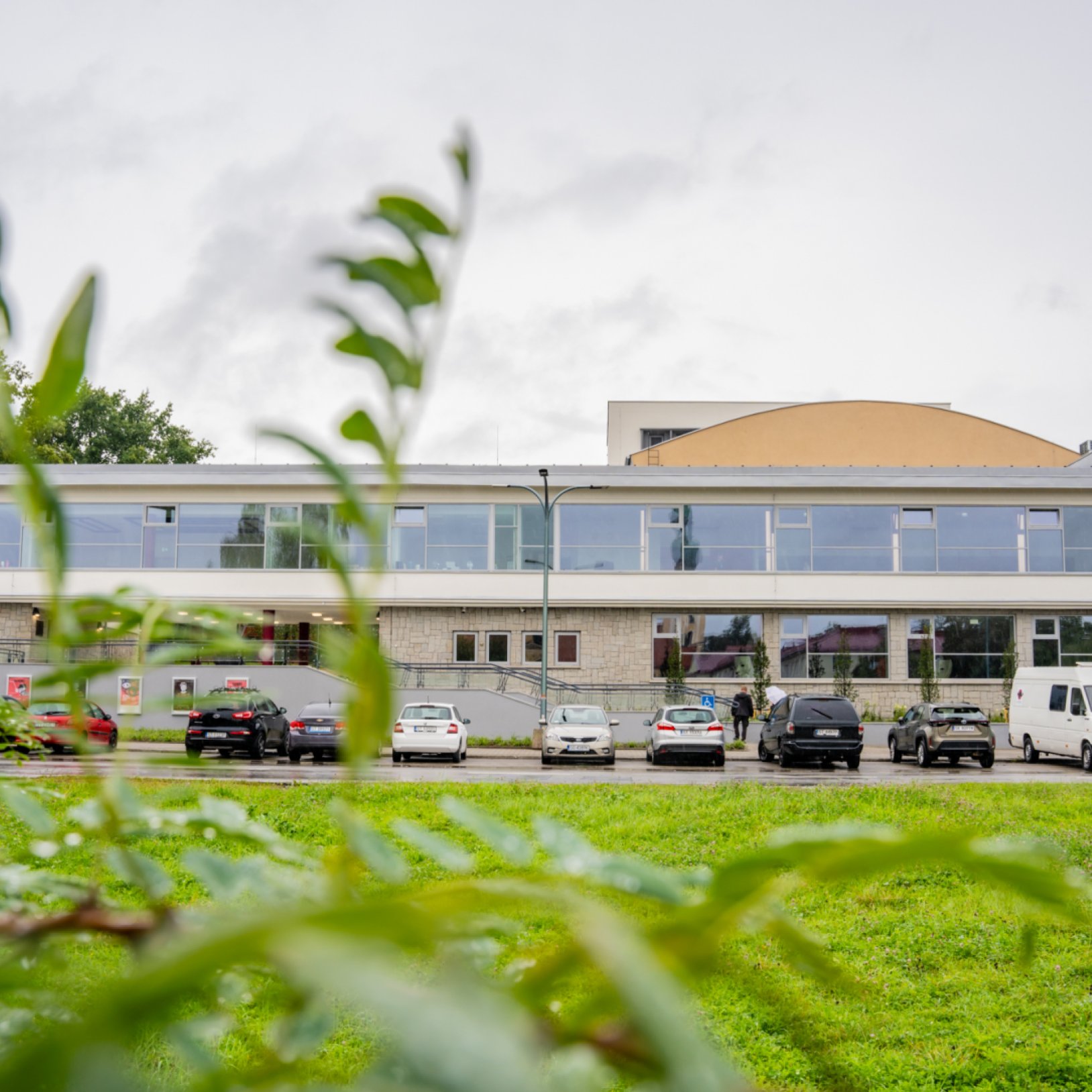 Panorama budynku Teatru Małego w Tychach, ujęta zza zielonych liści na pierwszym planie. Widoczne są duże przeszklenia, elewacja z kamienia i zaparkowane samochody.