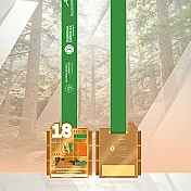 projekt medalu osiemnastego Półmaratonu Dąbrowskiego