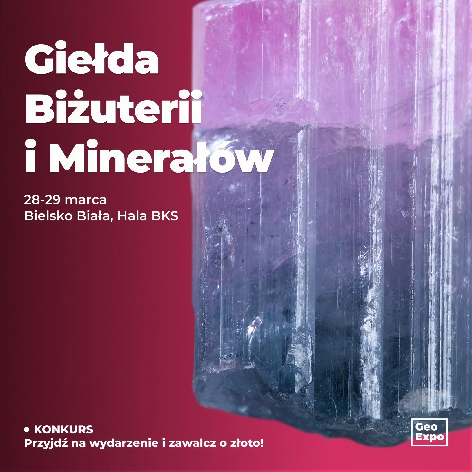 plakat Giełdy Minerałów i Skamieniałości, zbliżenie jednego minerału