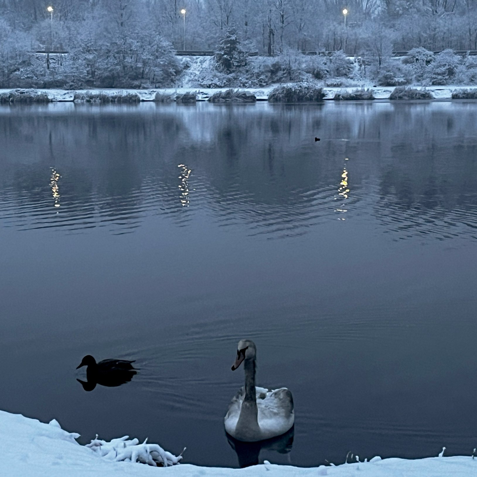 "Plac zabaw pokryty piaskiem z czerwonymi zjeżdżalniami, huśtawkami i elementami do wspinaczki. W tle wysokie trawy ozdobne i drzewa bez liści, typowe dla późnej jesieni."