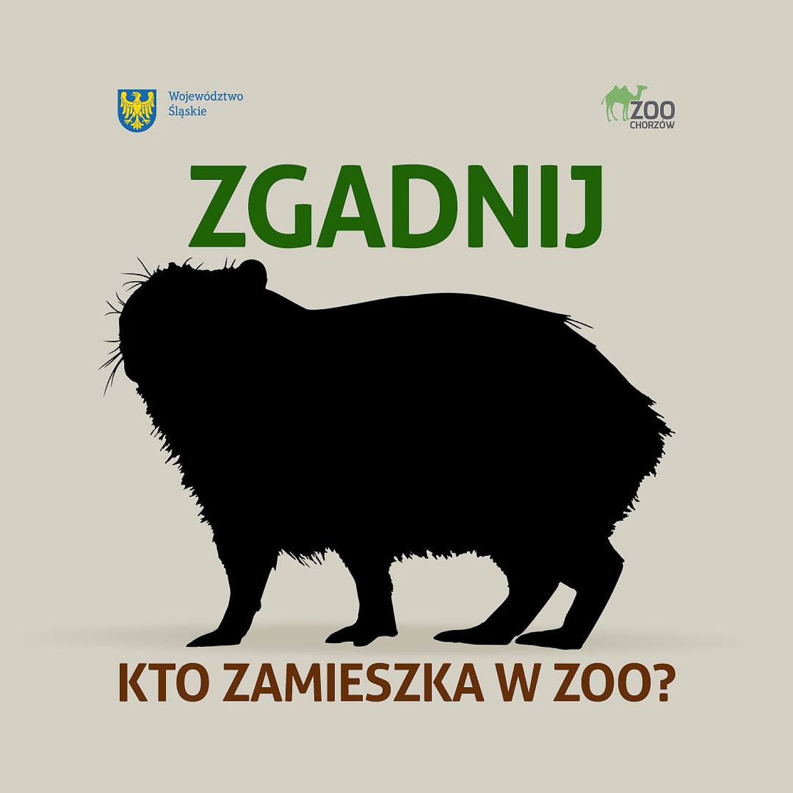 plakat z czarną sylwetką kapibary i napisem "Zgadnij kto zamieszka w ZOO?"