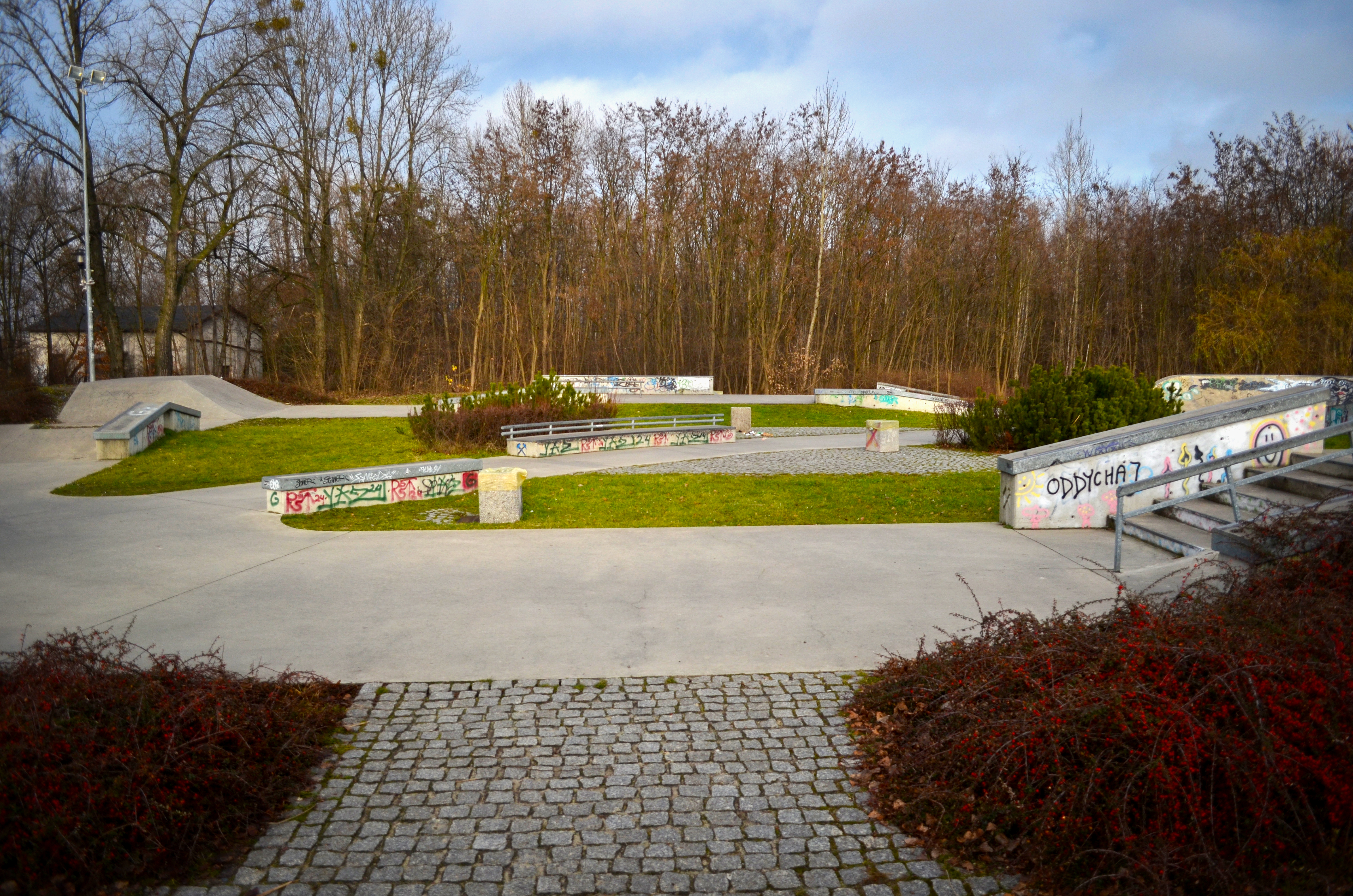 "Pusty plac skateparku z betonowymi rampami i niskimi murkami pokrytymi graffiti; między elementami znajduje się trawnik i fragment brukowanej nawierzchni, a w tle widać rząd bezlistnych drzew pod jasnym, pochmurnym niebem." }