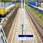 Zdjęcie peronu Sosnowiec Południowy z gołębiem