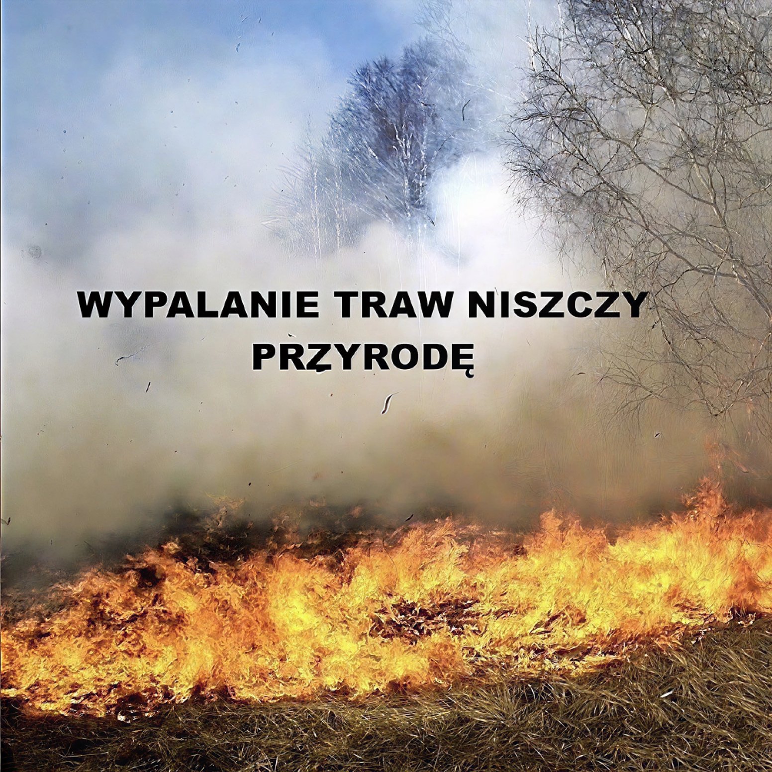 zdjęcie wypalanej trawy z czarnym napisem "wypalanie traw niszczy przyrodę"