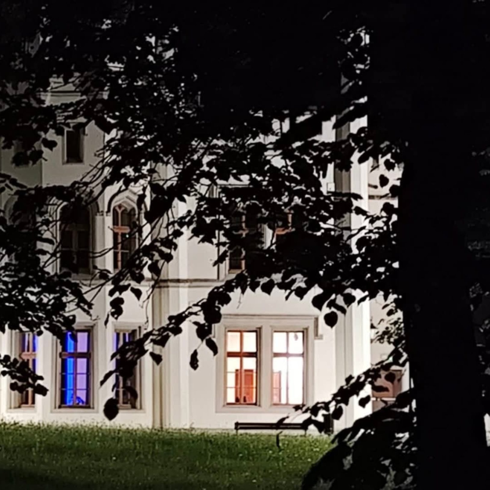 zdjecie Pałacu w miechowicach