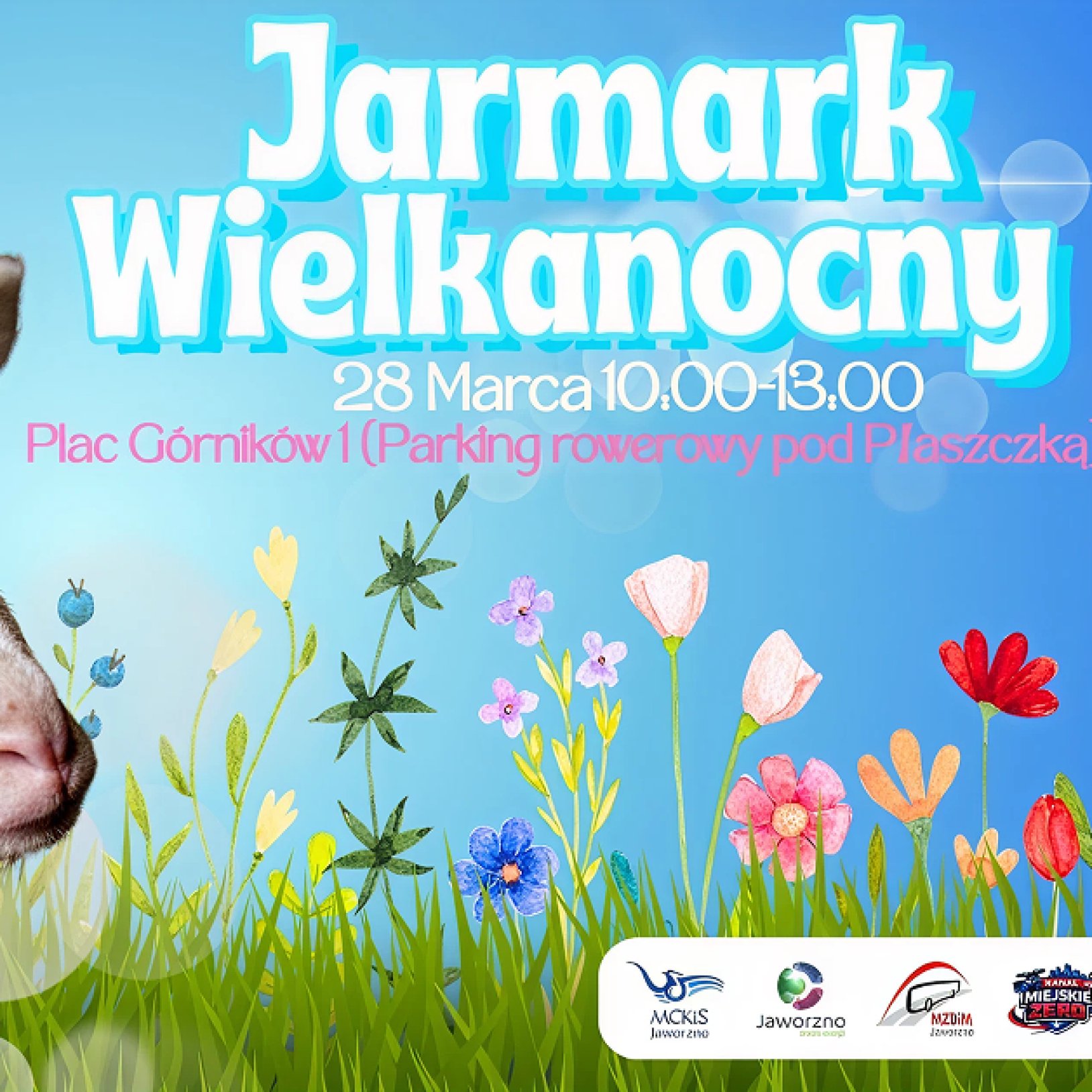 plakat jarmarku wielkanocnego w Jaworznie, owca na łące