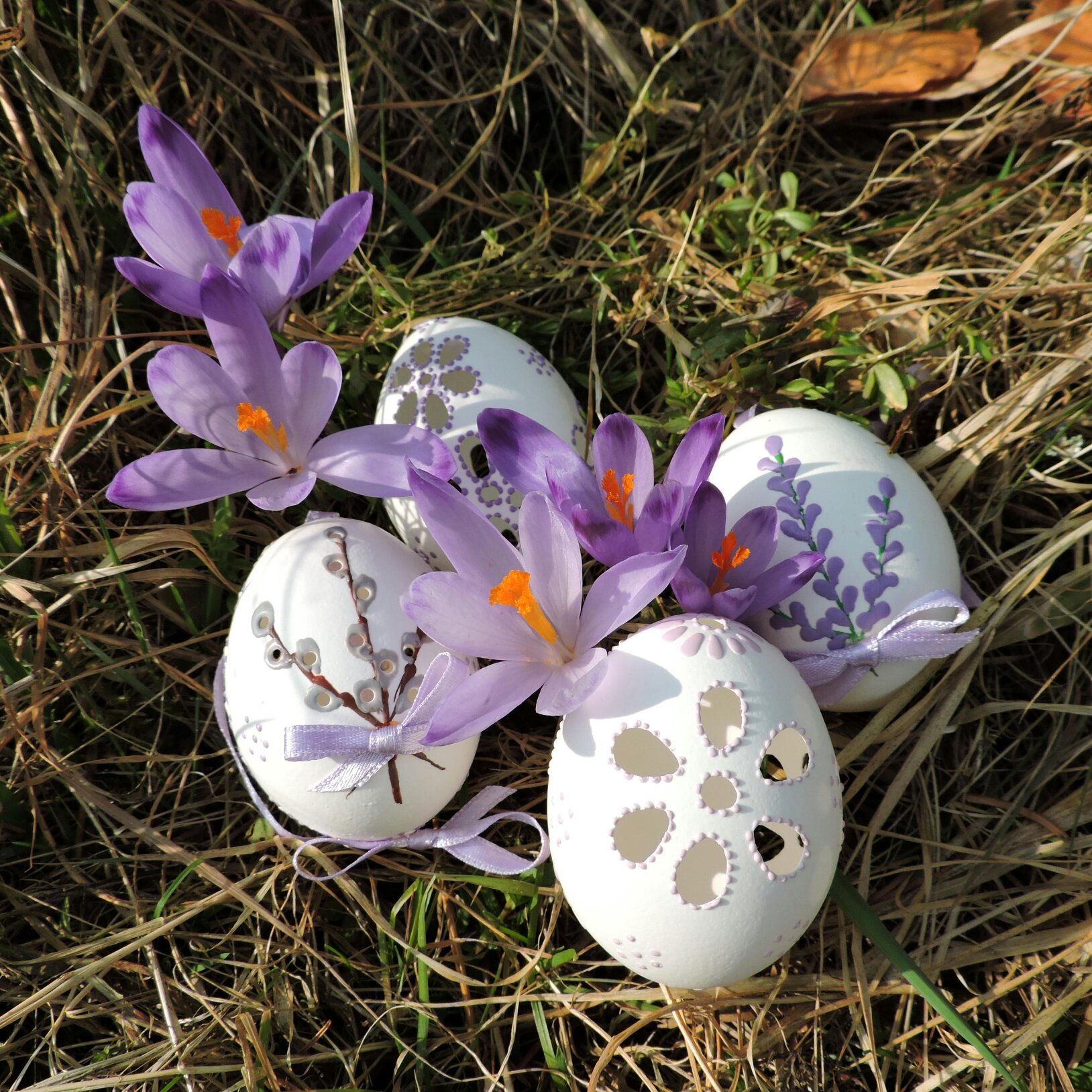 wielkanocne wydmuszki na trawie z krokusami
