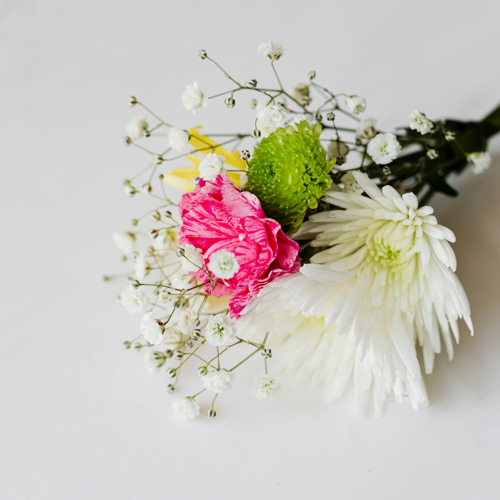 mały bukiet kwiatów na białym tle