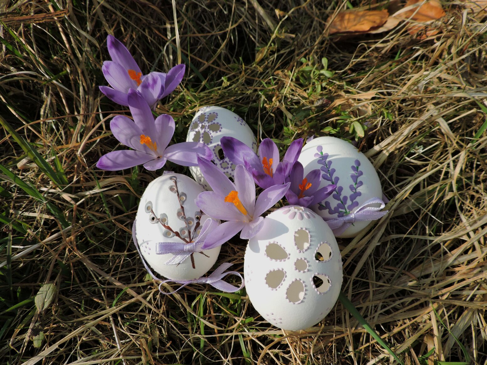 zdjęcie łąki z krokusami i pisankami