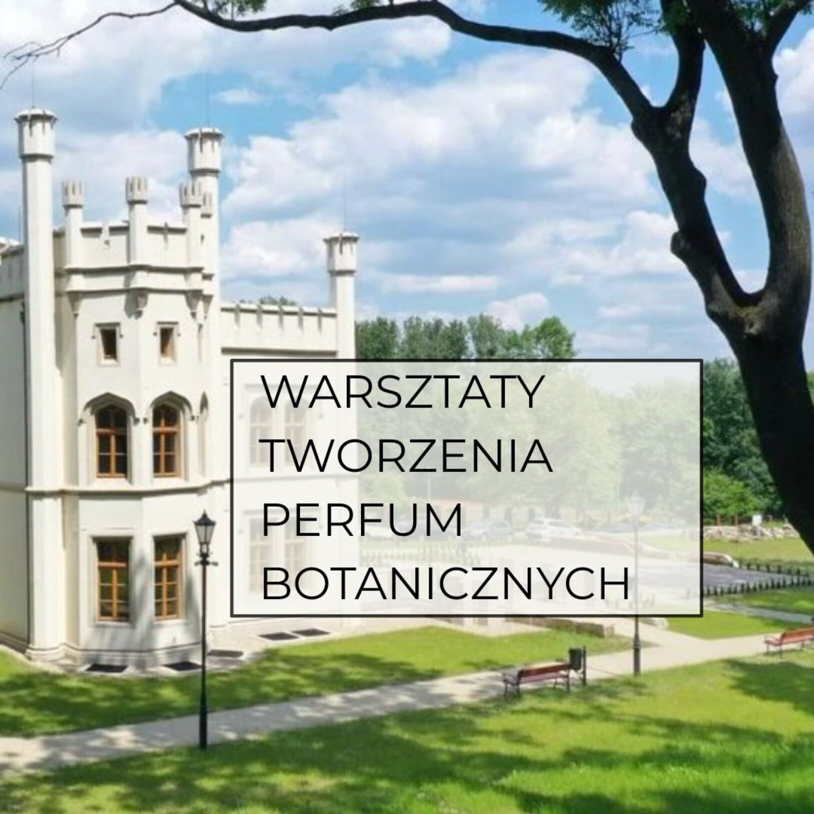 zdjęcie Pałacu w Miechowicach
