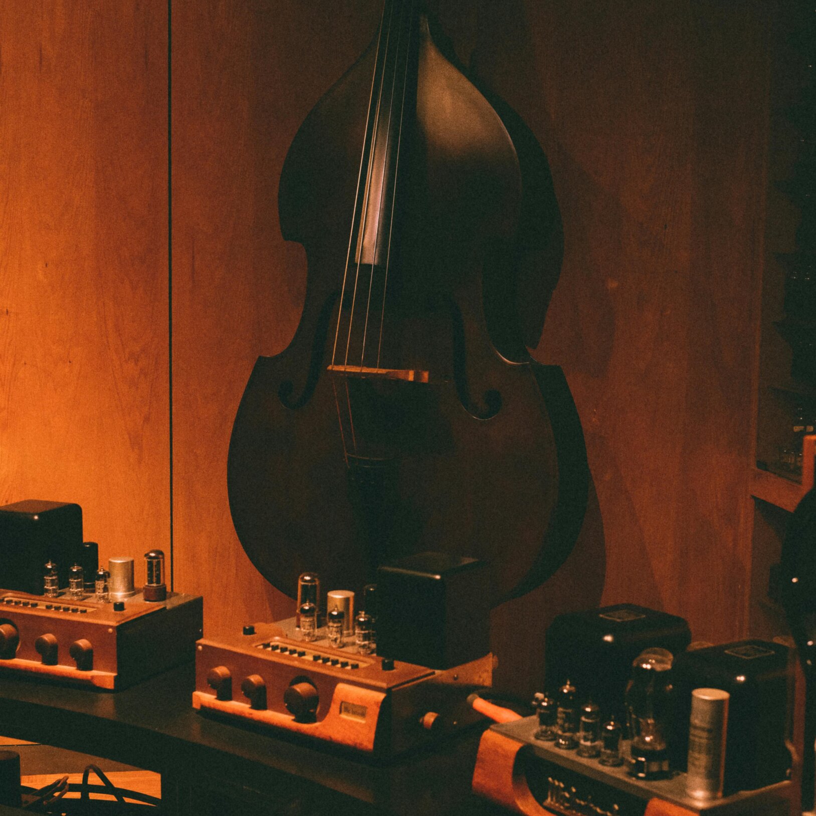 zdjęcie kontrabasu wiszącego na ścianie