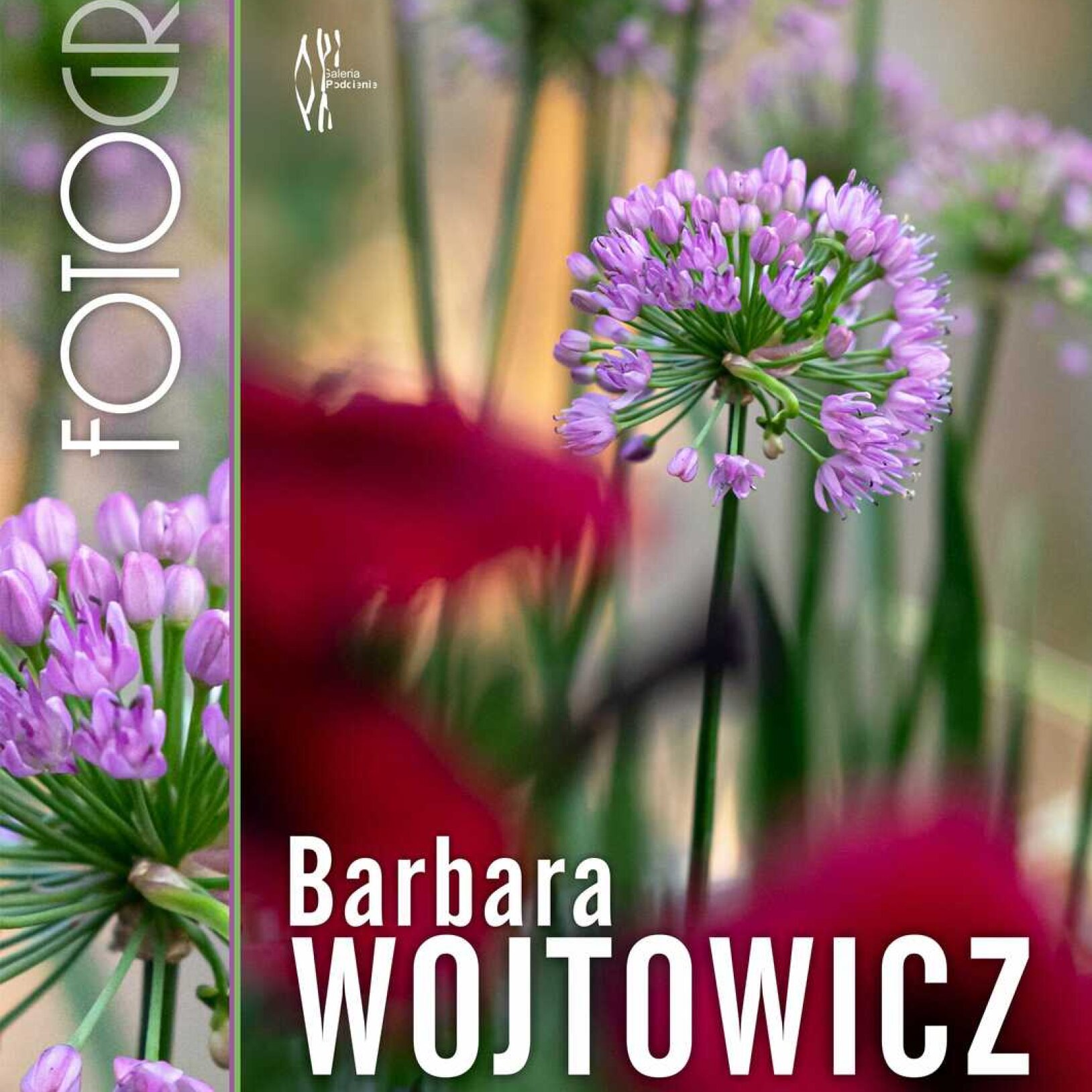 plakat wystawy fotografii ze zdjęciem kwiatów