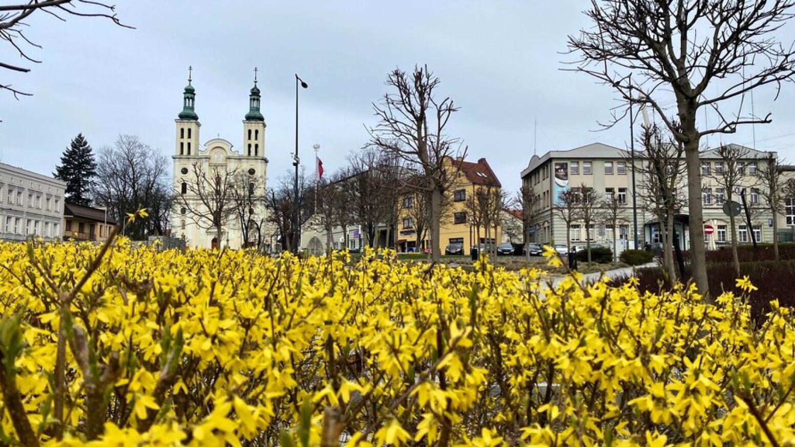widok krajobrazu w Pszowie