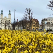 widok krajobrazu w Pszowie