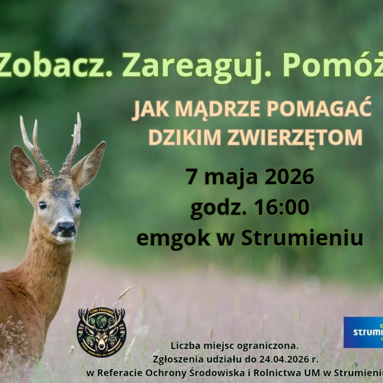 plakat szkolenia