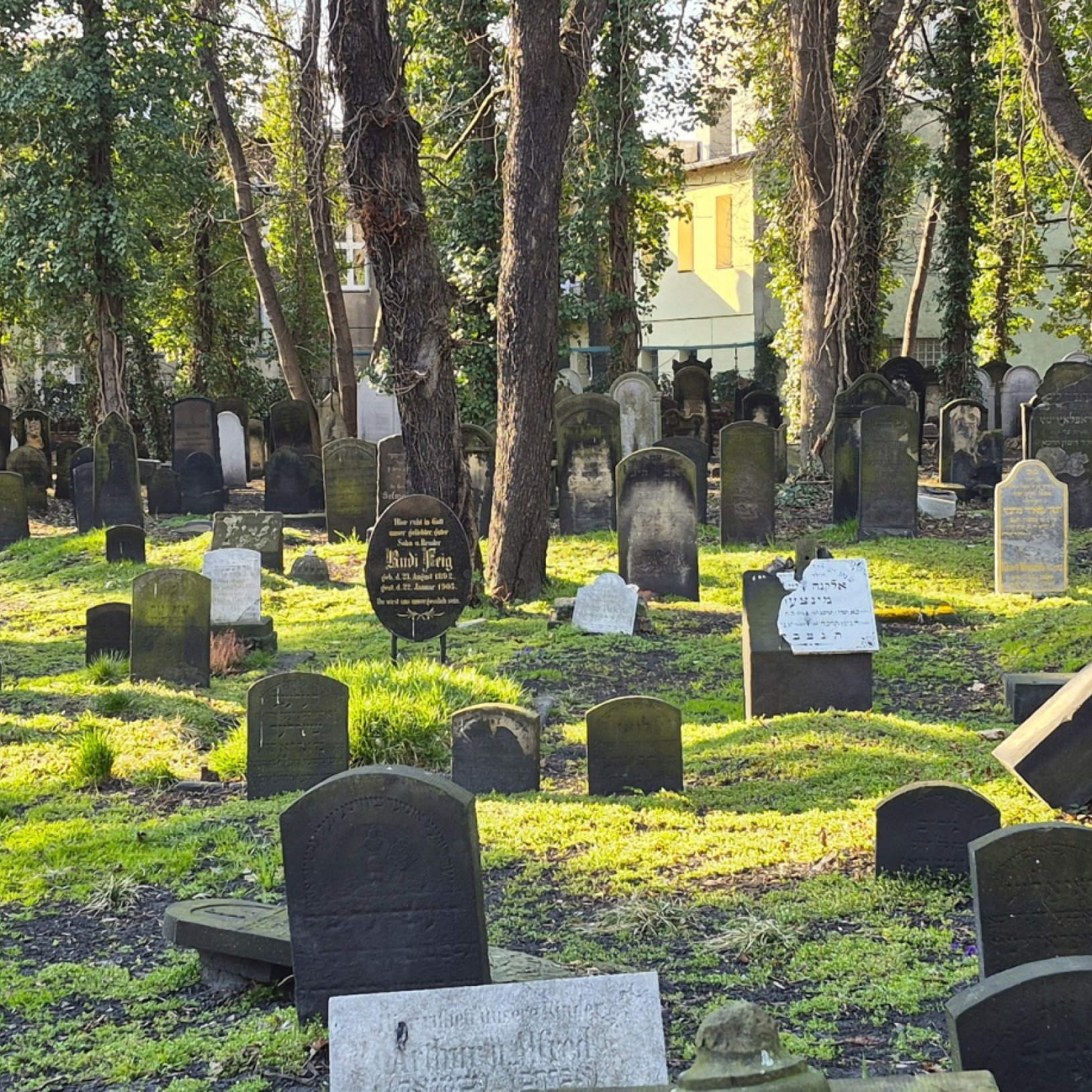 Stary cmentarz żydowski