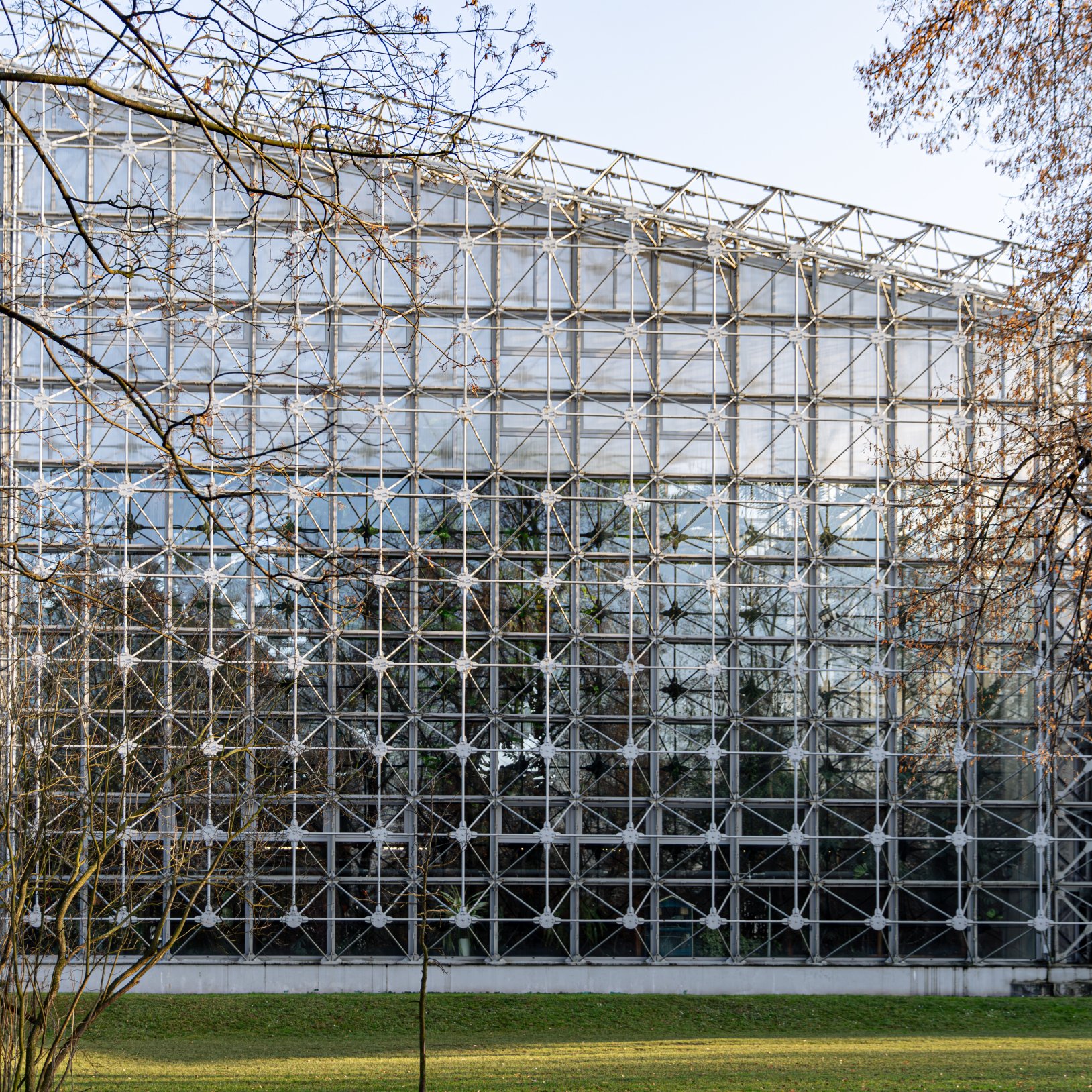 "Widok na ścianę dużej szklarni z siatką stalowych krat i przeszklonymi panelami. Przez szkło widać roślinność wewnątrz obiektu. Wokół znajduje się trawnik, drzewa i pojedyncze latarnie parkowe."