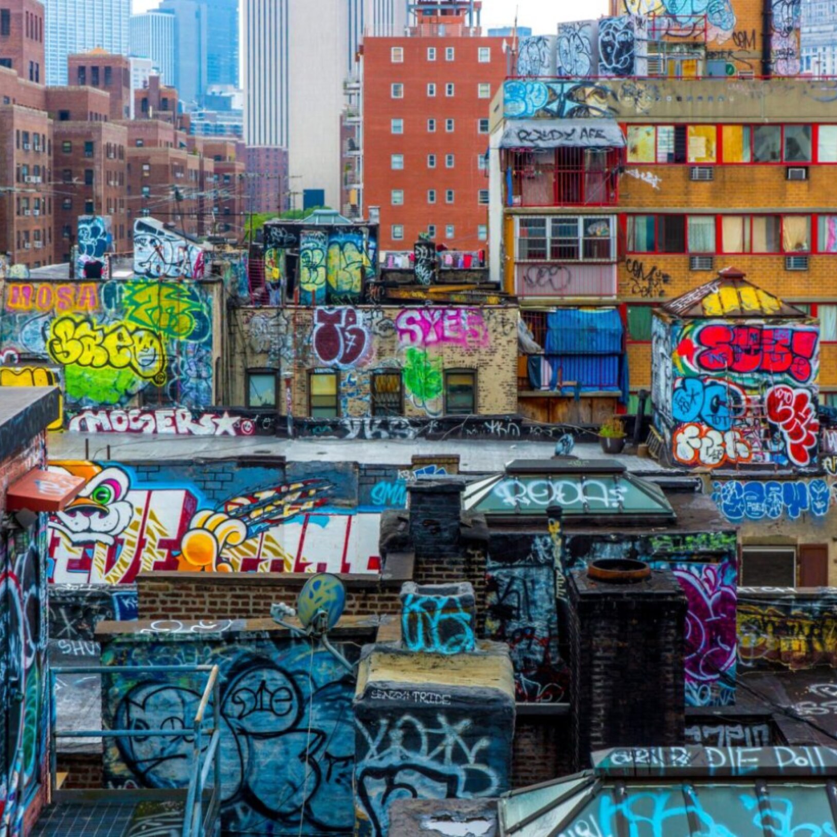 Zdjęcie przedstawiające ściany oraz dachy grafitti w Nowym Jorku
