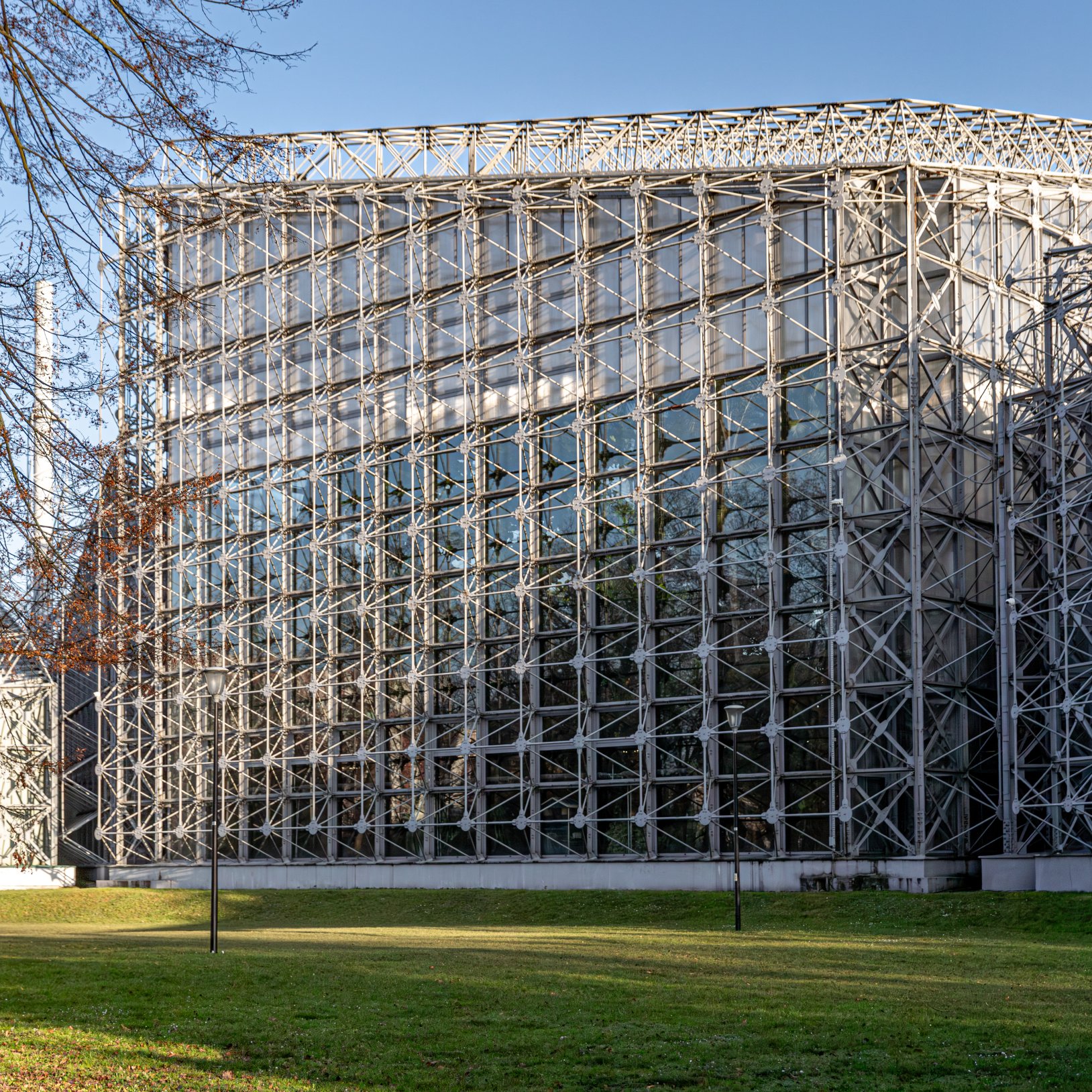 "Widok na szklaną ścianę dużej szklarni z metalową kratownicą, otoczoną zielonym trawnikiem. W tle widoczne nagie drzewa i latarnia parkowa. Niebo jest bezchmurne i jasne."