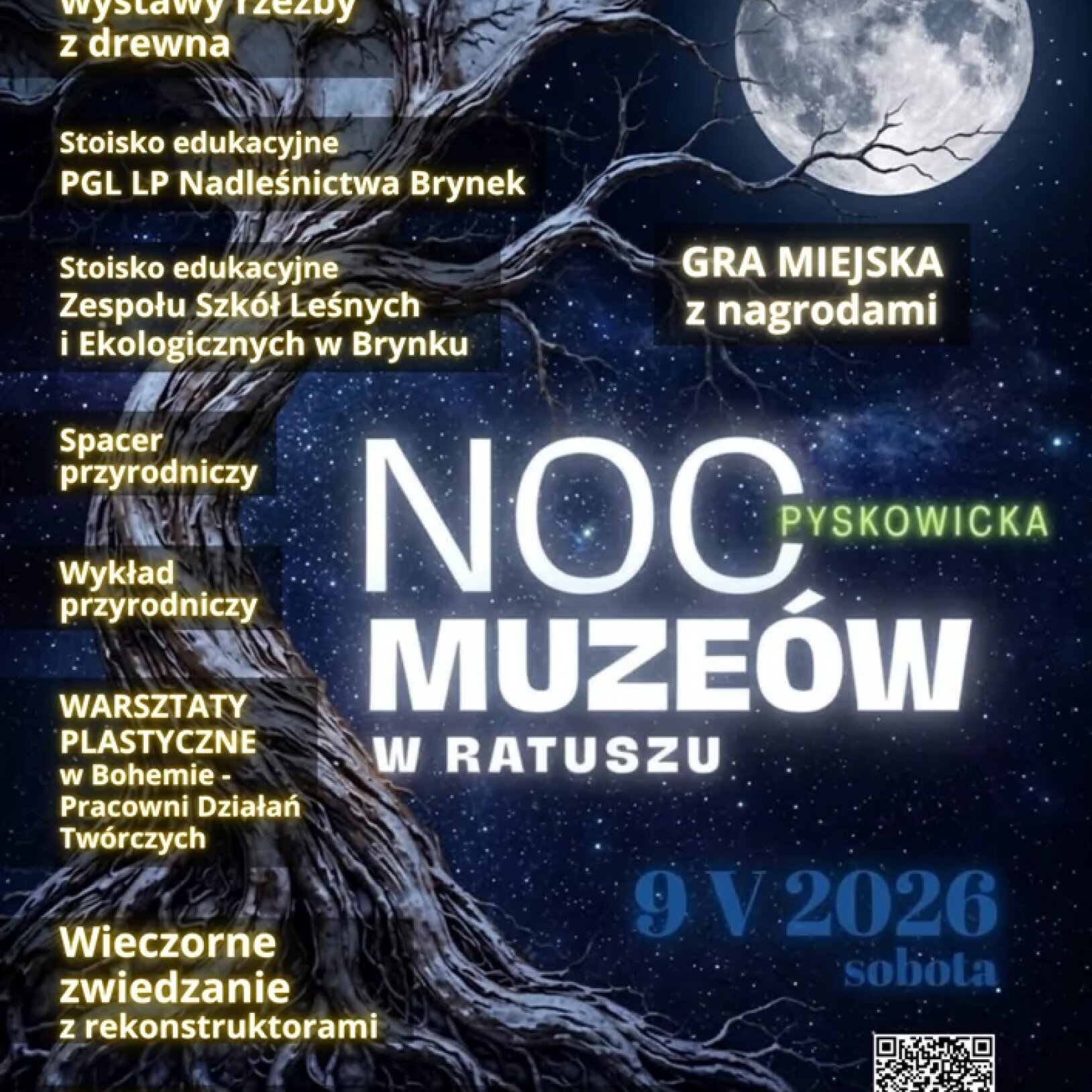 plakat nocy muzeów w pyskowicach