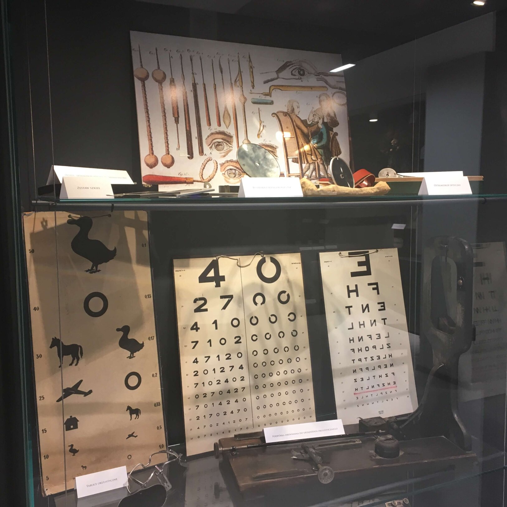 podświetlona szklana gablota z planszami do badania wzroku