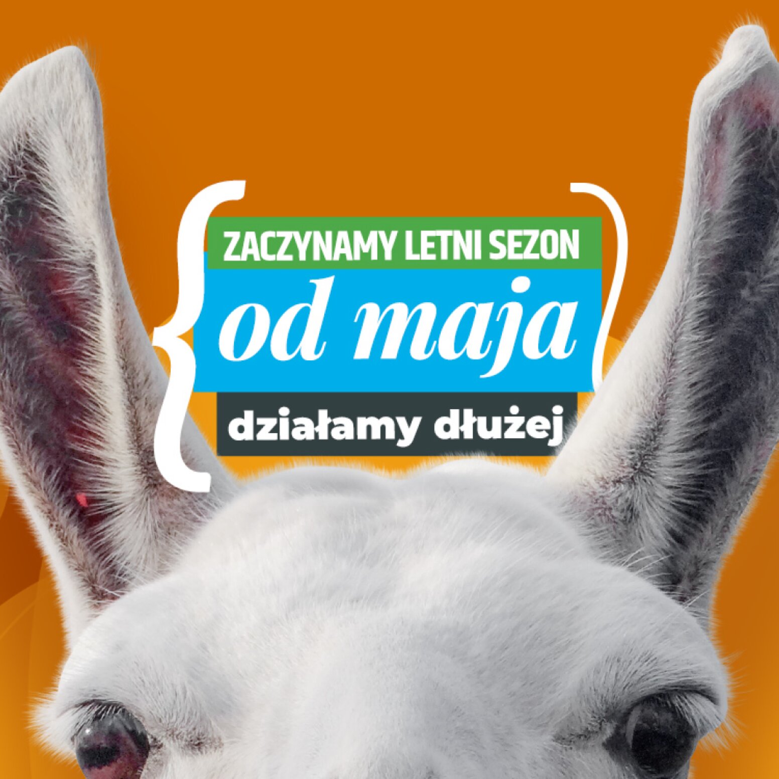 Letnie godziny otwarcia zoo w Chorzowie