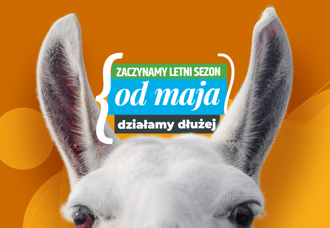 Letnie godziny otwarcia zoo w Chorzowie