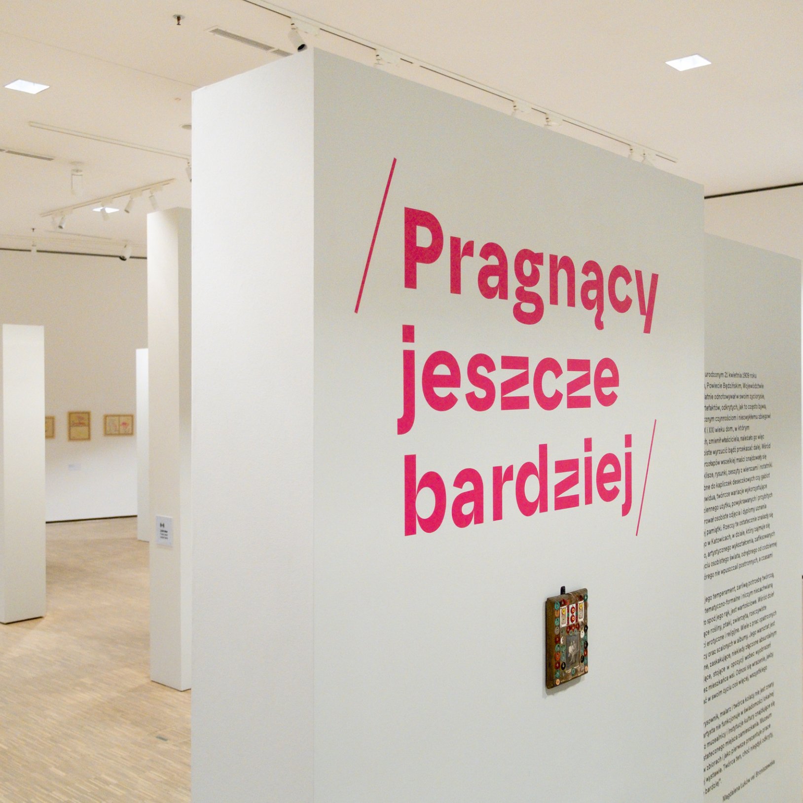 zdjęcie z wystawy Pragnący jeszcze bardziej. Twórczość nieprofesjonalna Mieczysława Pragnącego