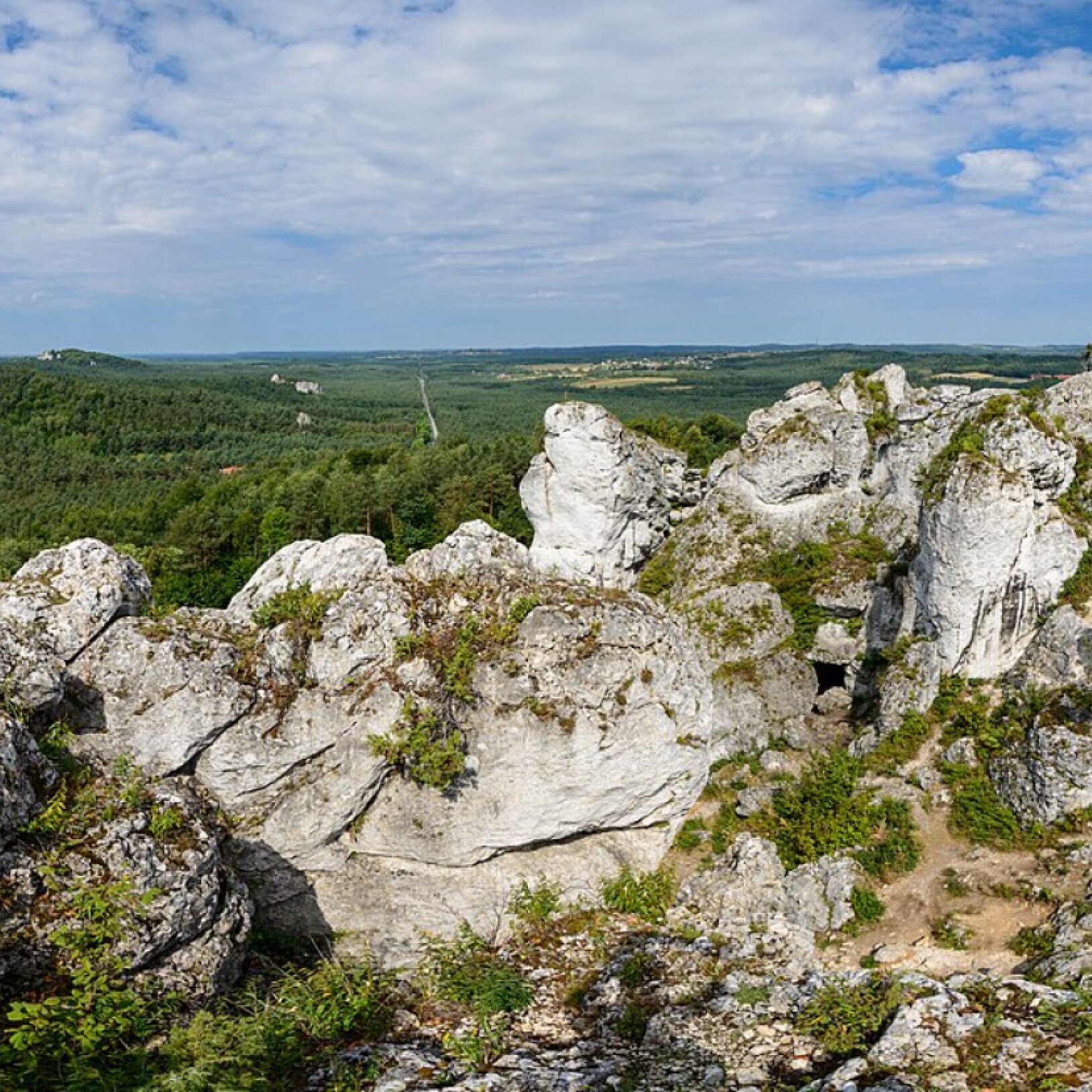 zdjęcie w zidokiem skał Jura Krakowsko-Częstochowska
