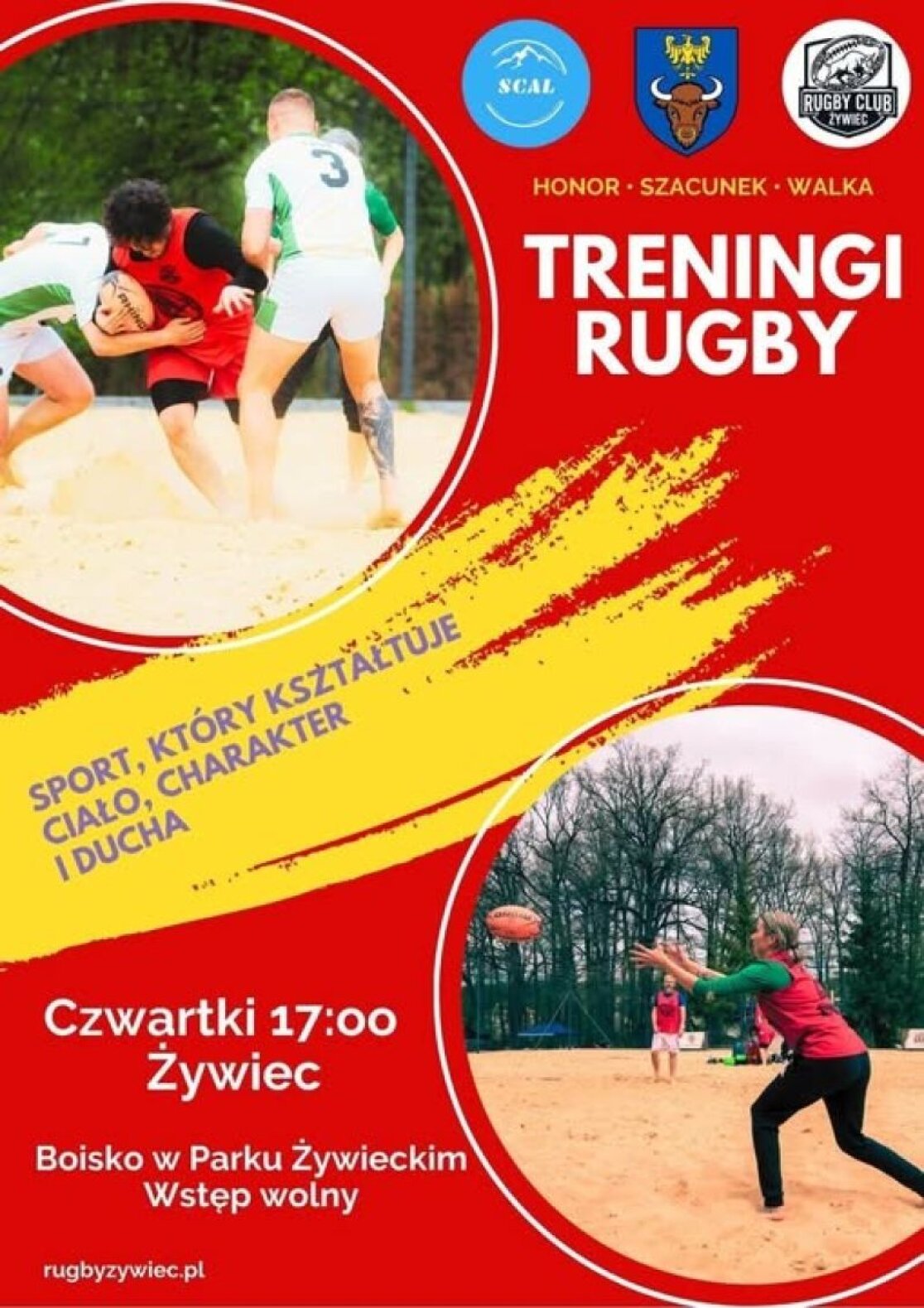 plakat treningów rugby
