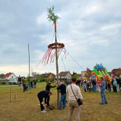 ludzie stawiają moik