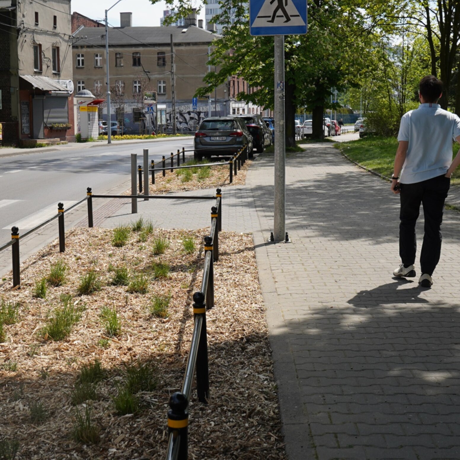 nowe tereny zielone przy chodniku