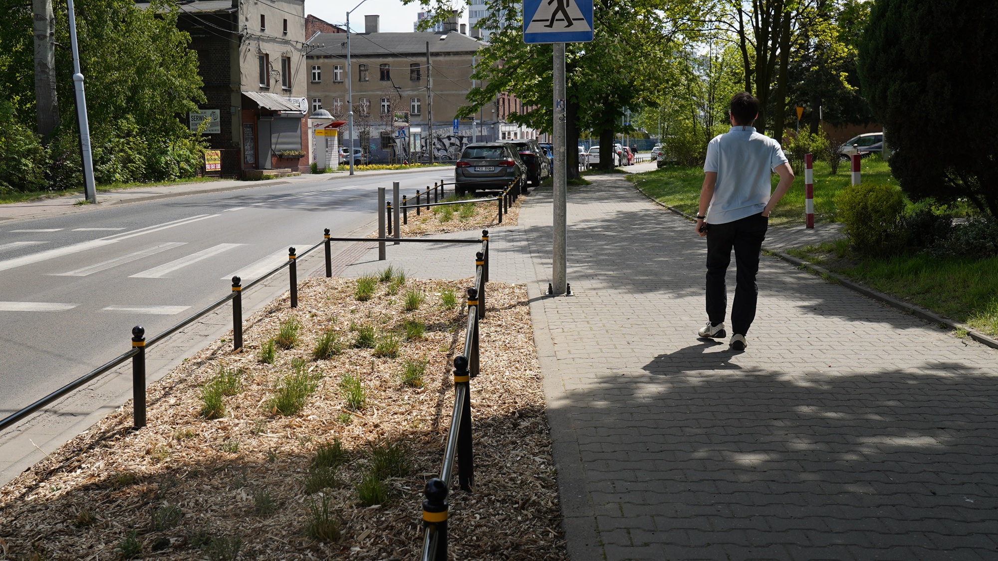 nowe tereny zielone przy chodniku