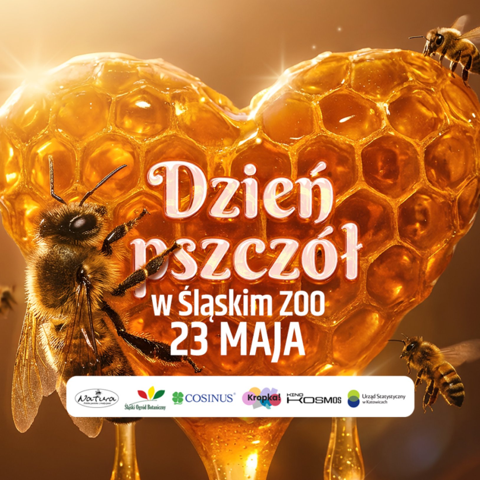 plakat imprezy