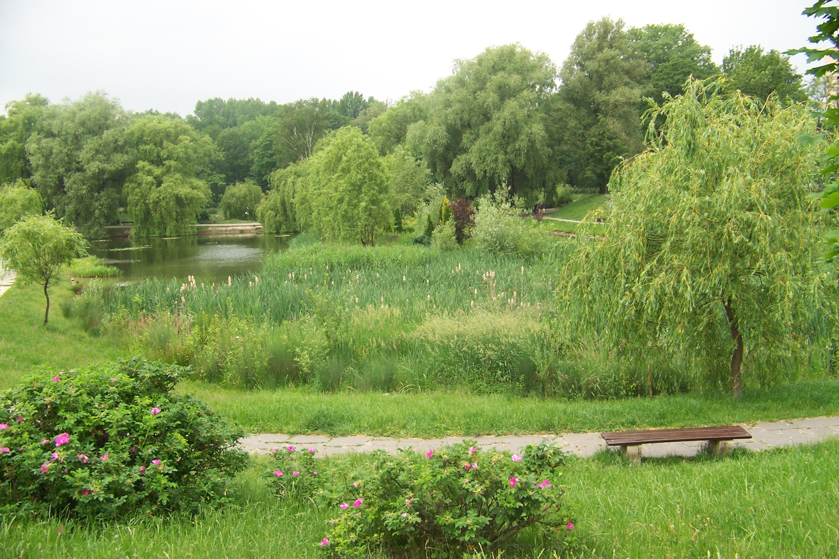 park róż w chorzowie