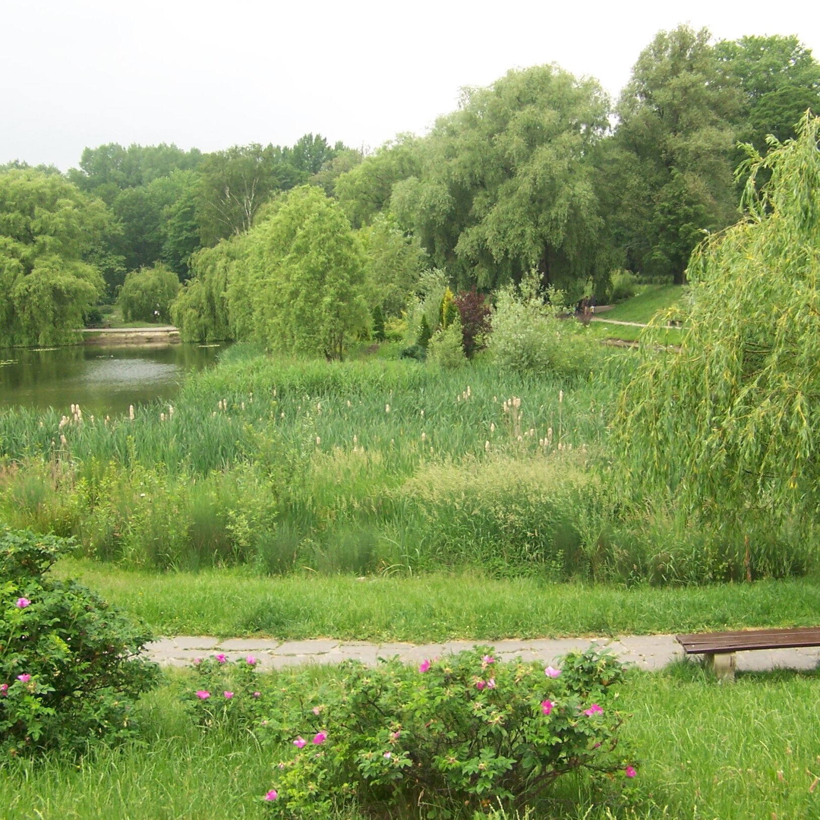 park róż w chorzowie