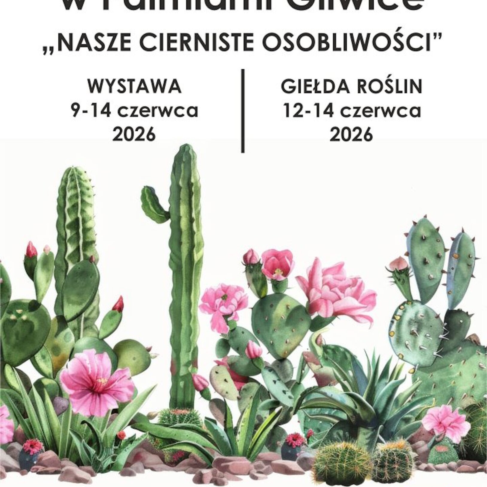 Plakat z najważniejszymi informacjami i grafiką w kaktusy