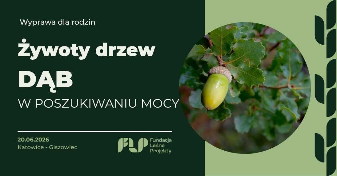 Wyprawa dla rodzin Żywoty Drzew – Dąb. W poszukiwaniu mocy